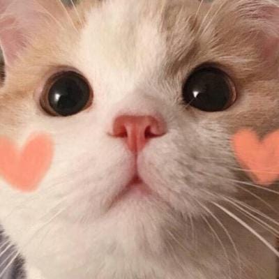 Younis Khan avatar